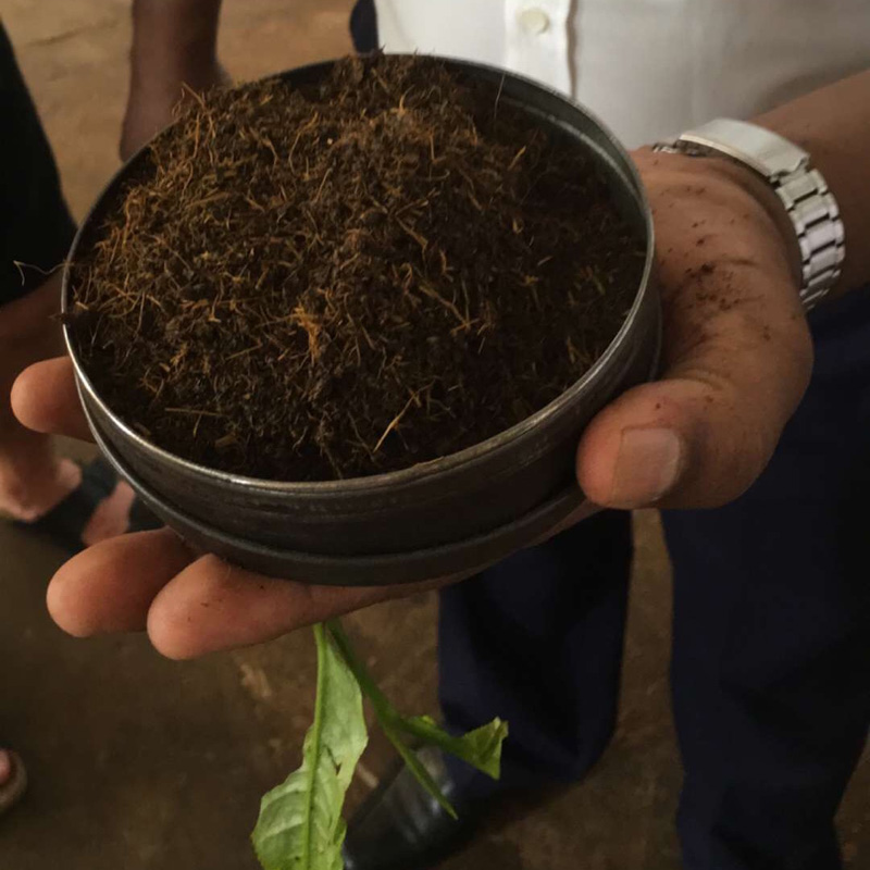 Fabbrica del The Bois Cheri